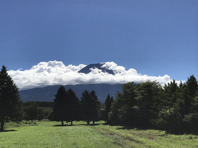 朝霧高原