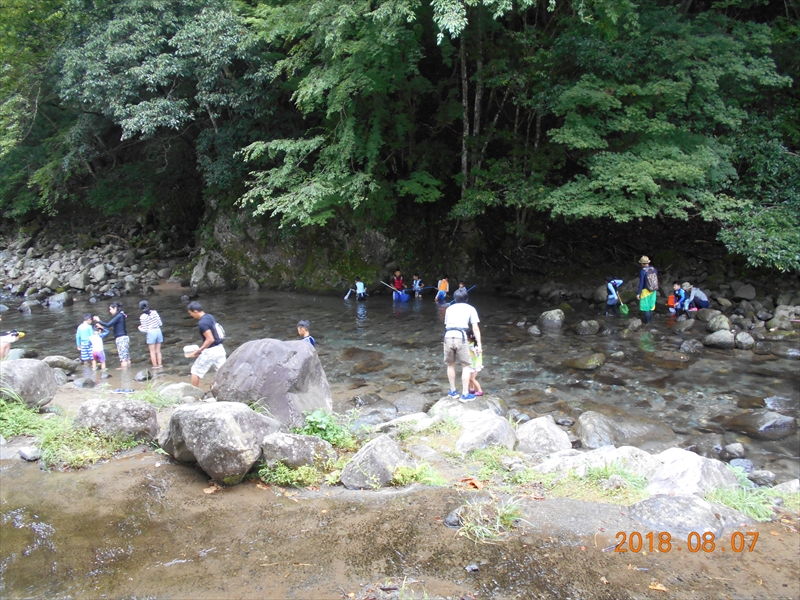 毎年恒例・中伊豆の水恋鳥広場