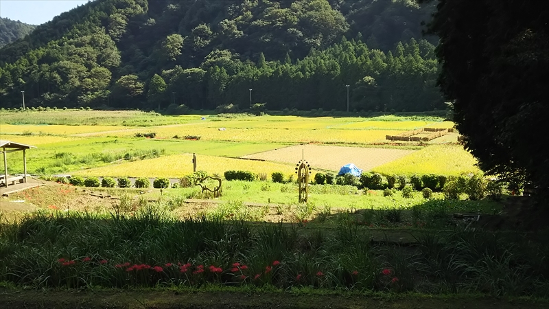 暑さ寒さも彼岸まで