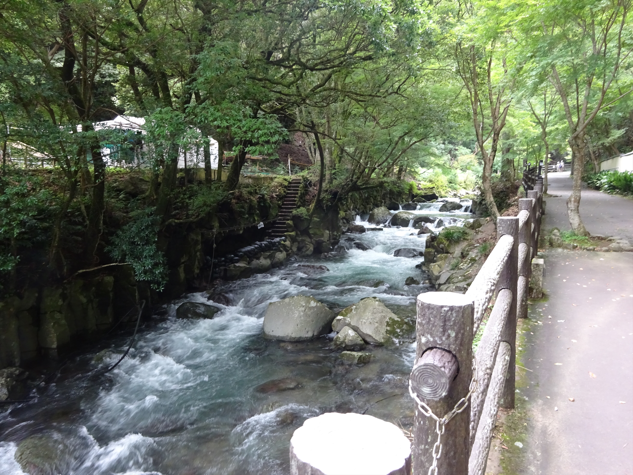 河津七滝をお散歩