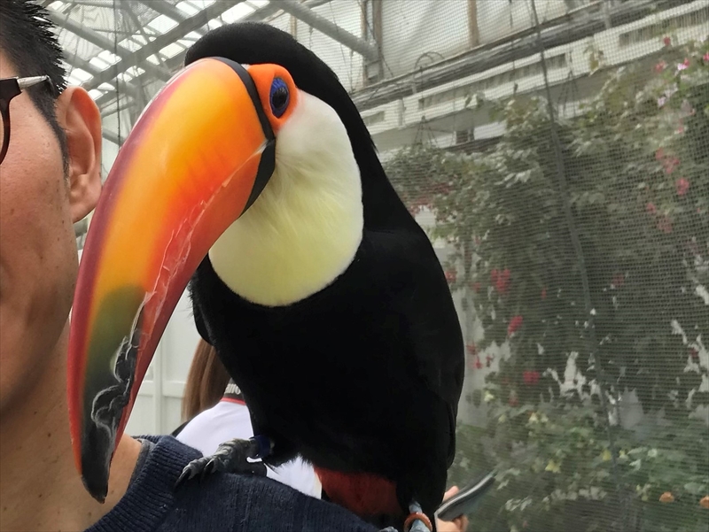 掛川花鳥園