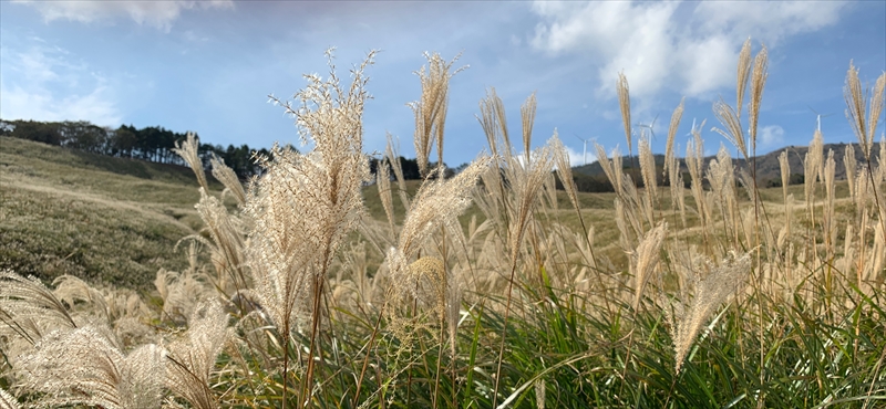 細野高原と三筋山