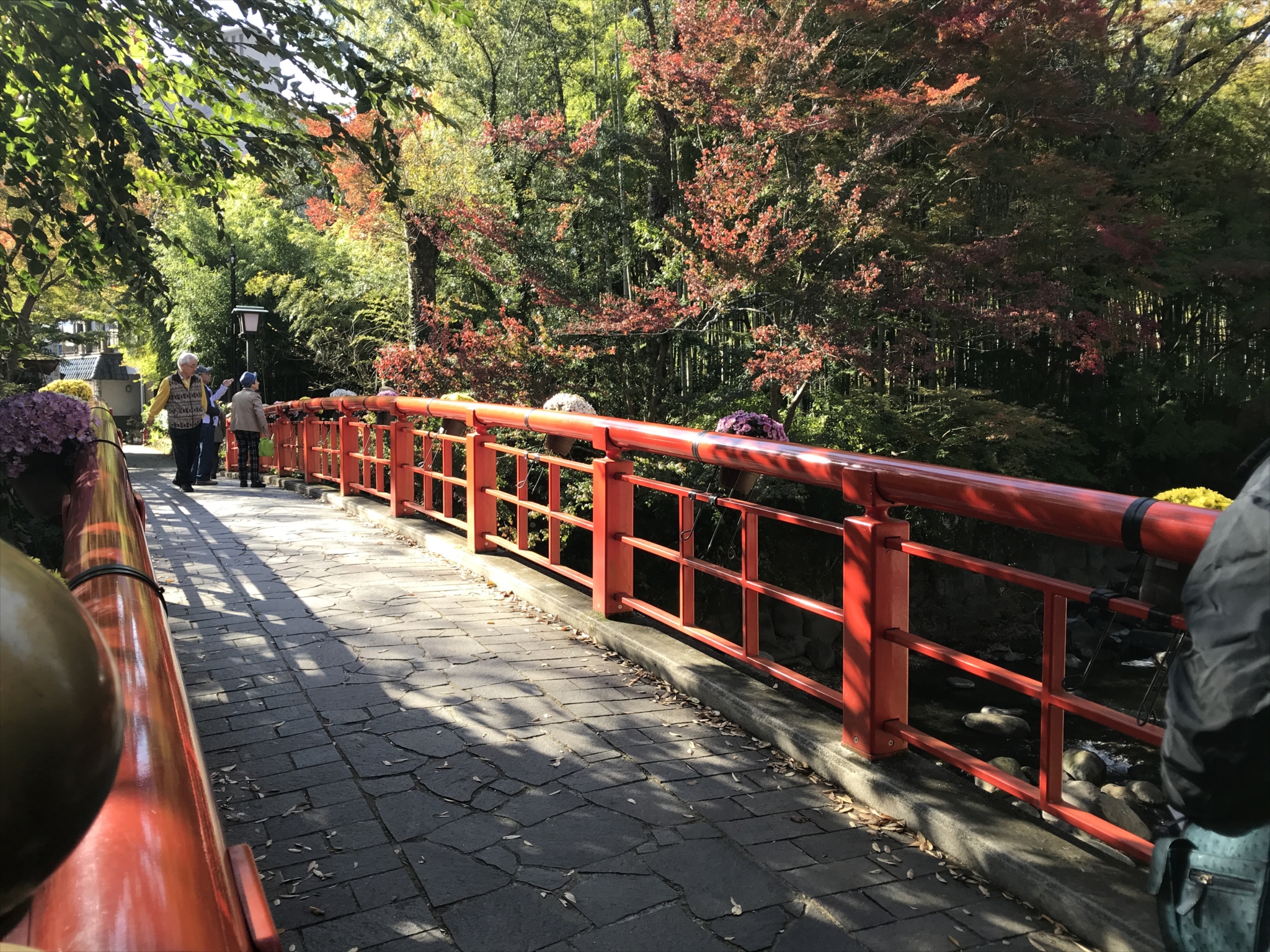修善寺の庭園と紅葉