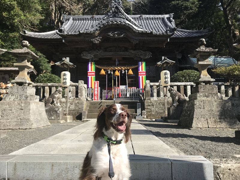 白浜神社