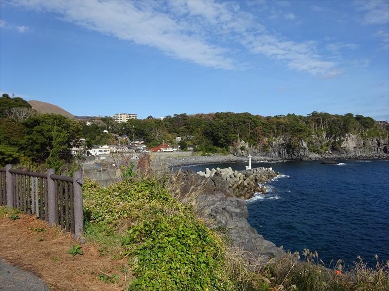 八幡野港・一本松