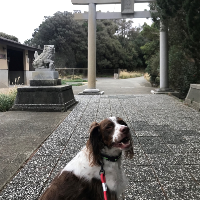 伊豆半島最南端の神社