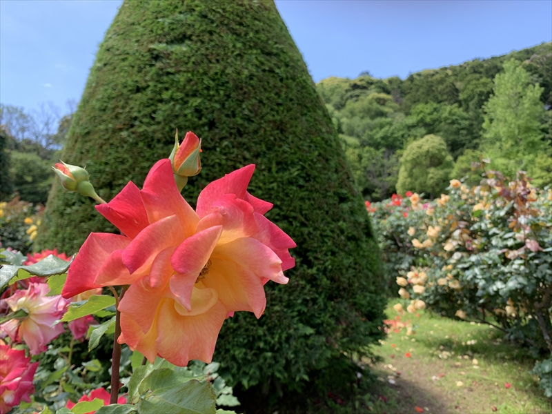 バガテル公園