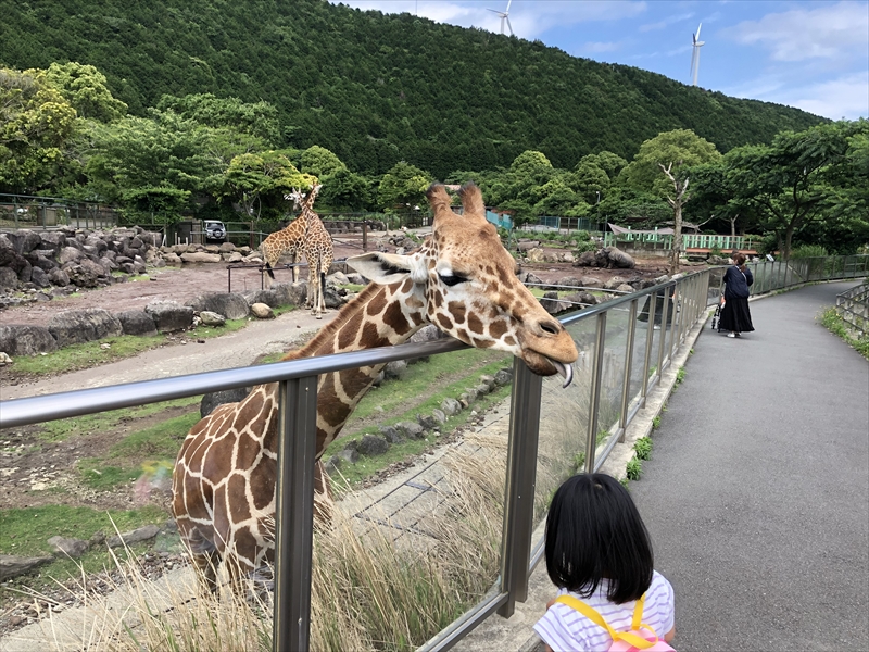 伊豆アニマルキングダム