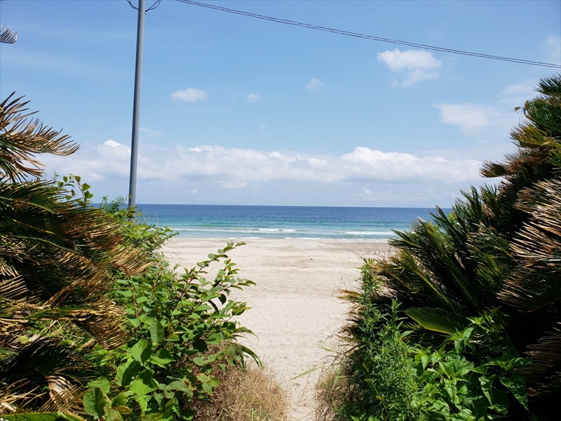 夏はもうすぐ！下田の海へ！