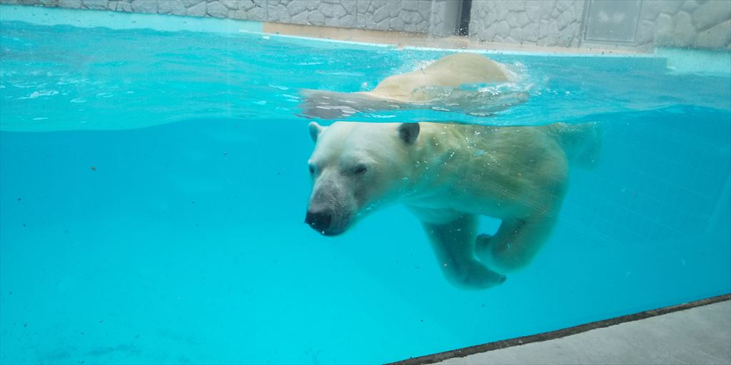 日本平動物園