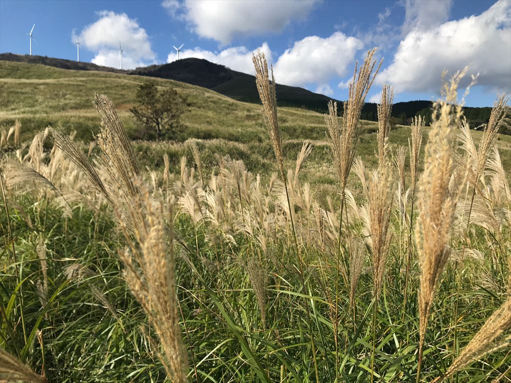 細野高原