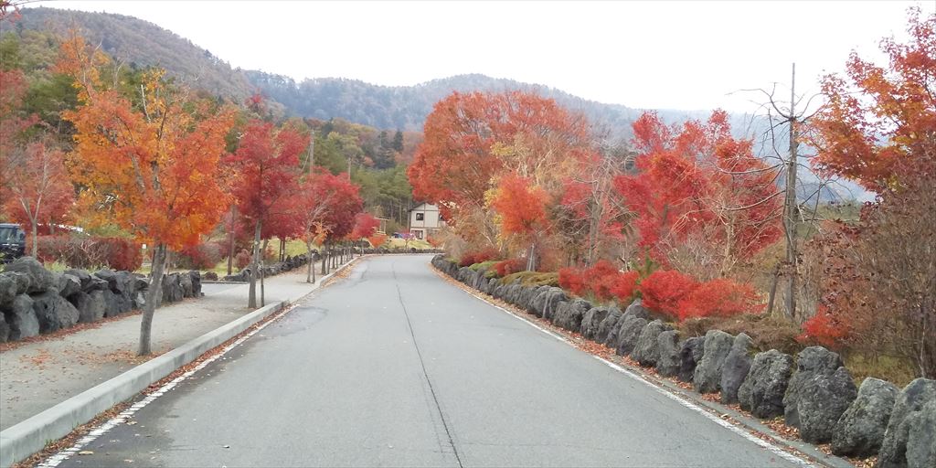 紅葉始まってます。