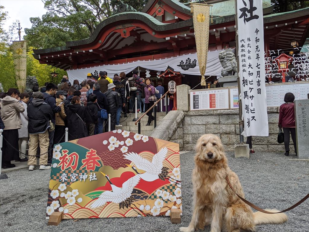 初詣 来宮神社