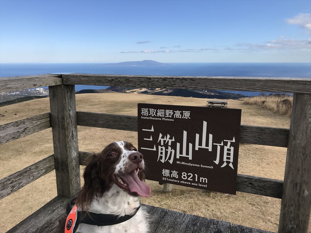 細野高原へ ハリーと散歩