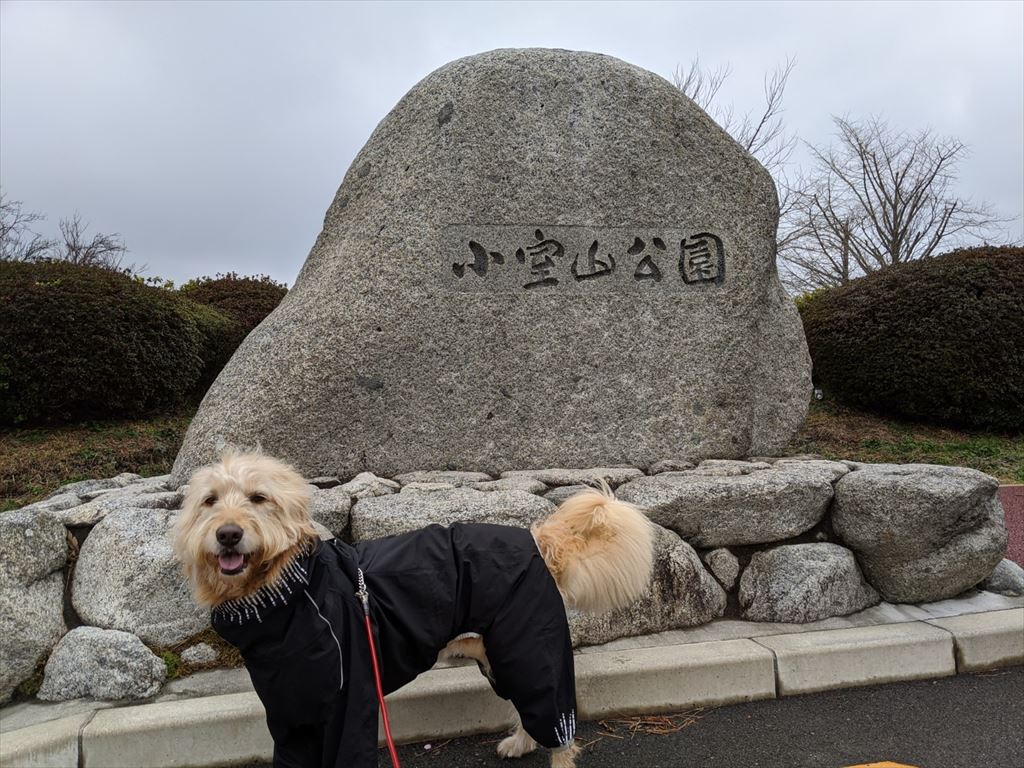 小室山散歩　休日の楽しみは雨でも