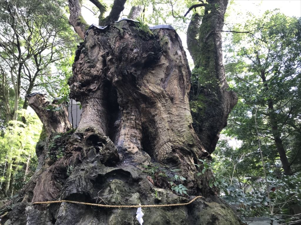 来宮神社