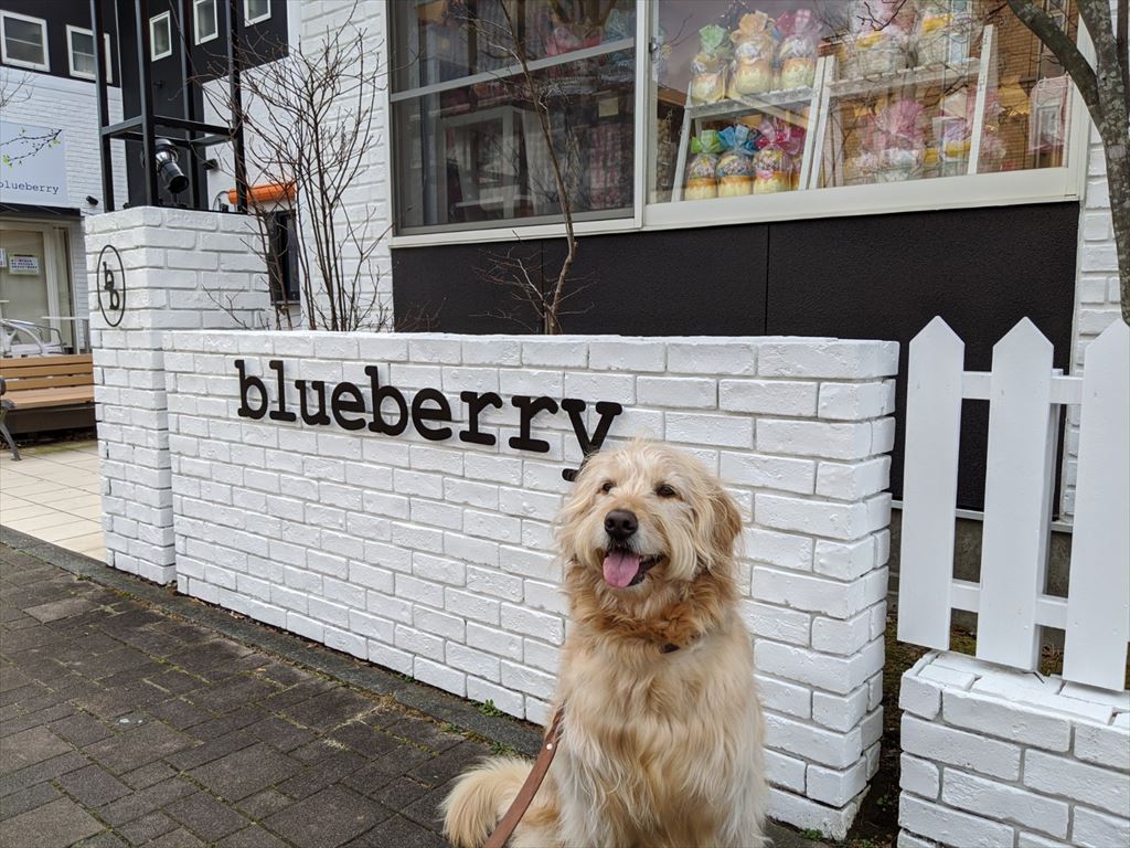 blueberry(ブルーベリー）