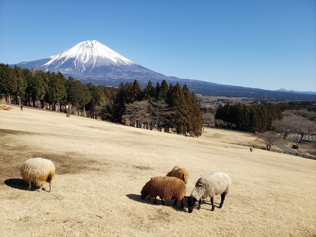 まかいの牧場