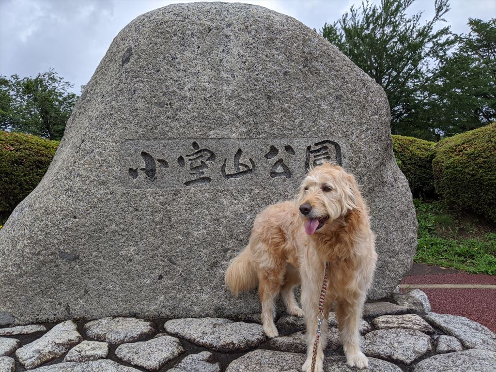 雨の合間の小室山