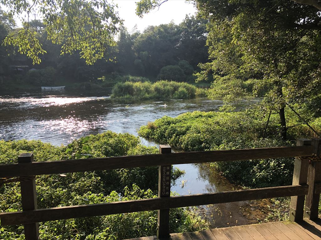 柿田川公園