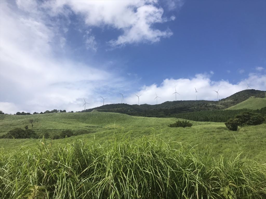 細野高原