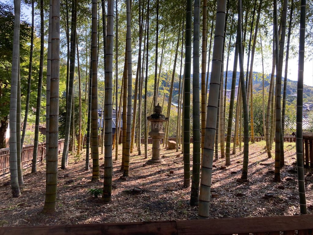 修禅寺と日枝神社