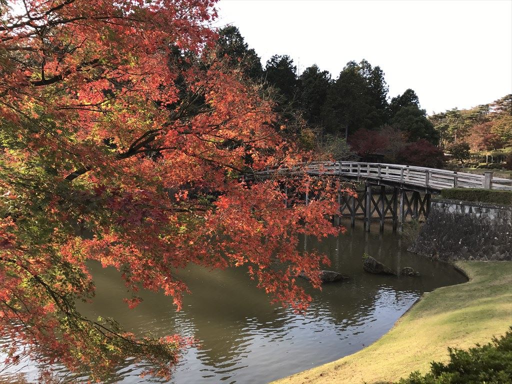 富士山と紅葉