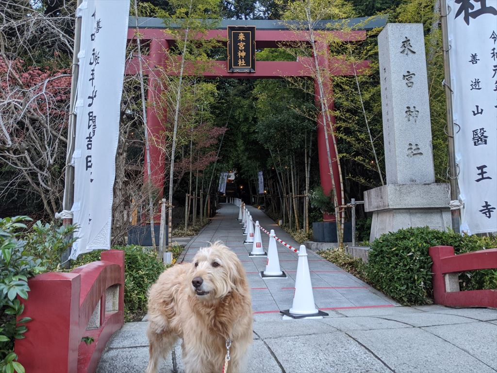 初詣・来宮神社