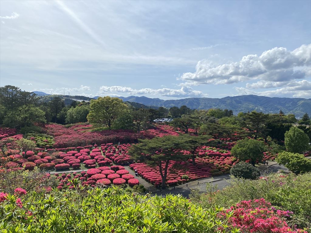 小室山 つつじ園