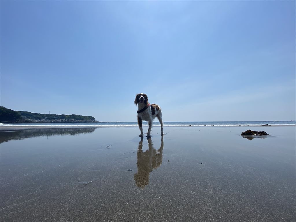 真夏を感じてます！