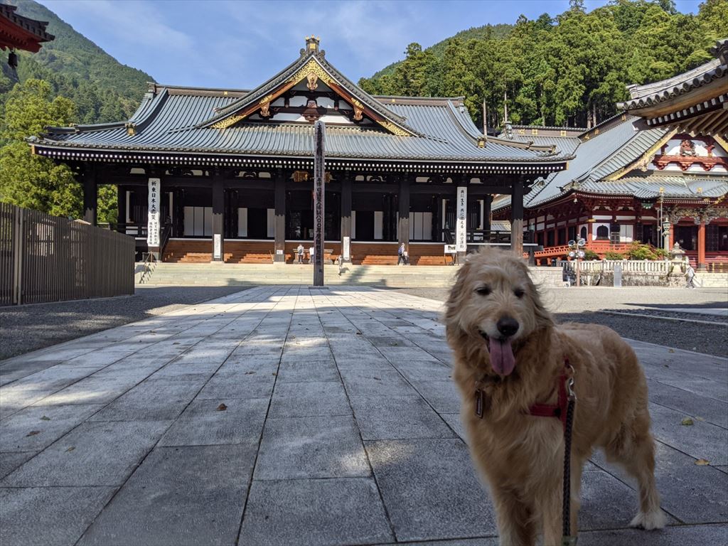 まると一緒に身延山へドライブ