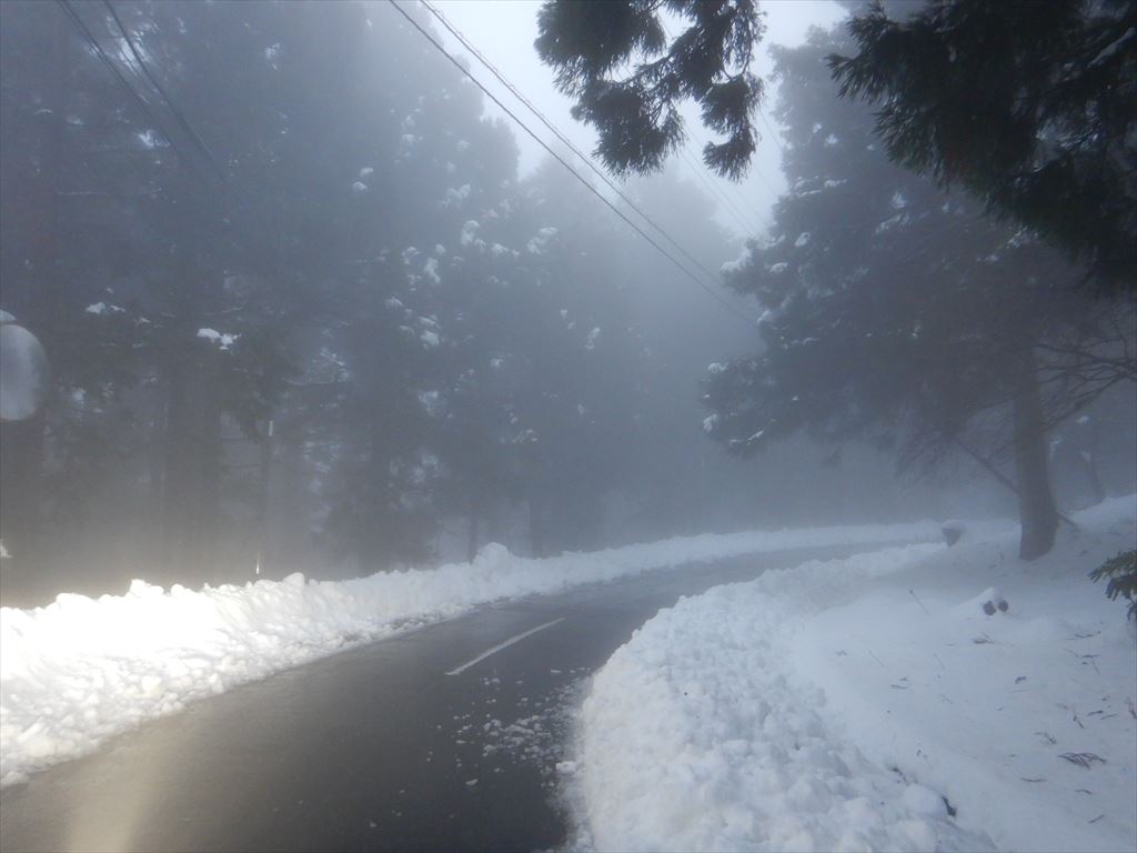 ついに雪が積もりました。こちらは伊豆の天城高原です！