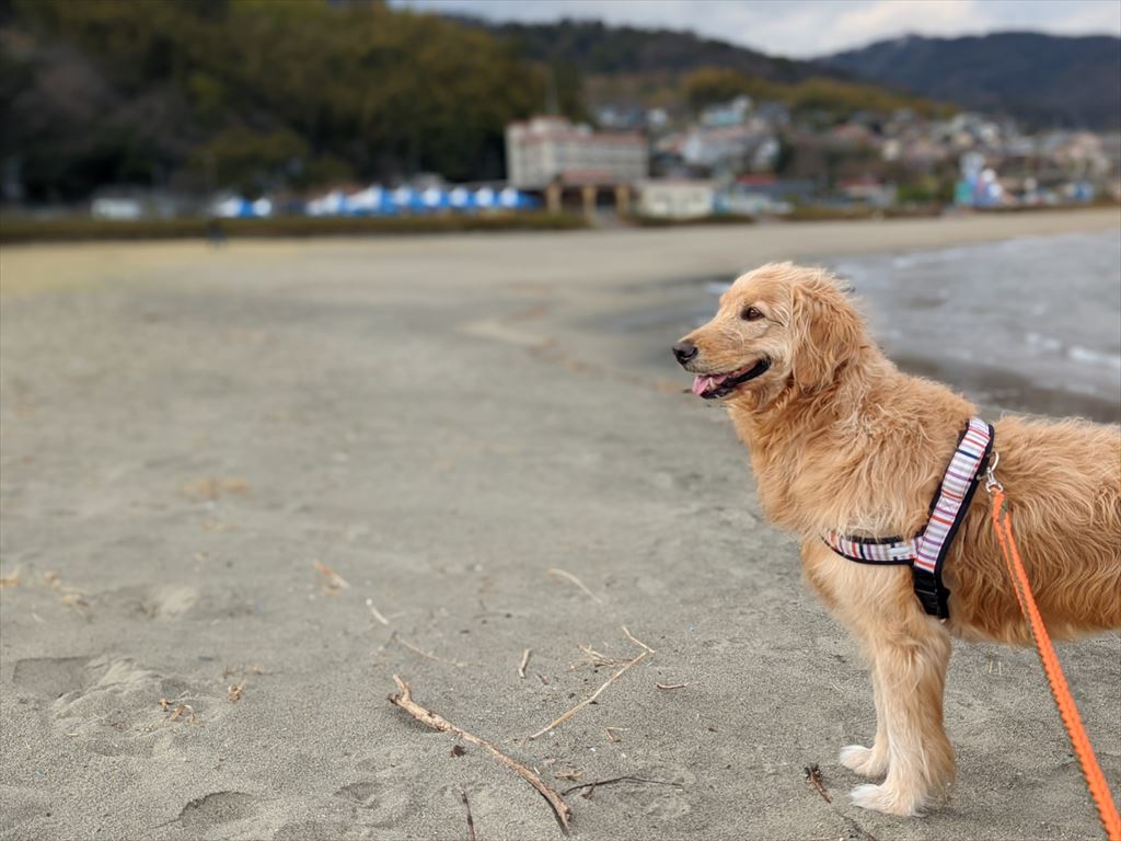 長浜海岸