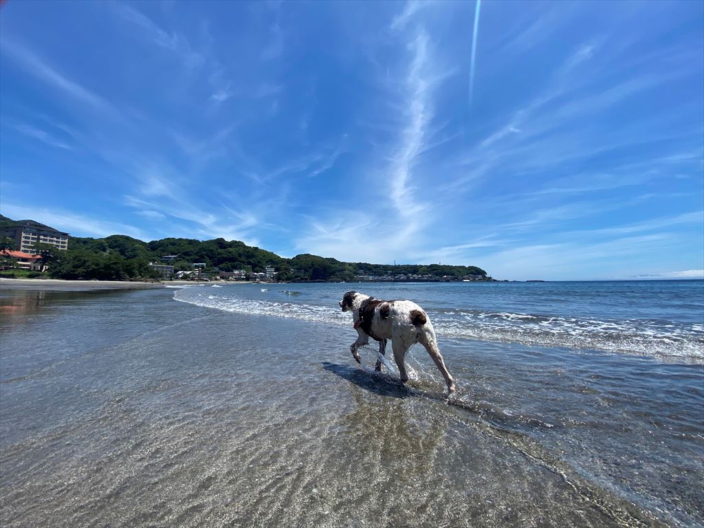 海水浴