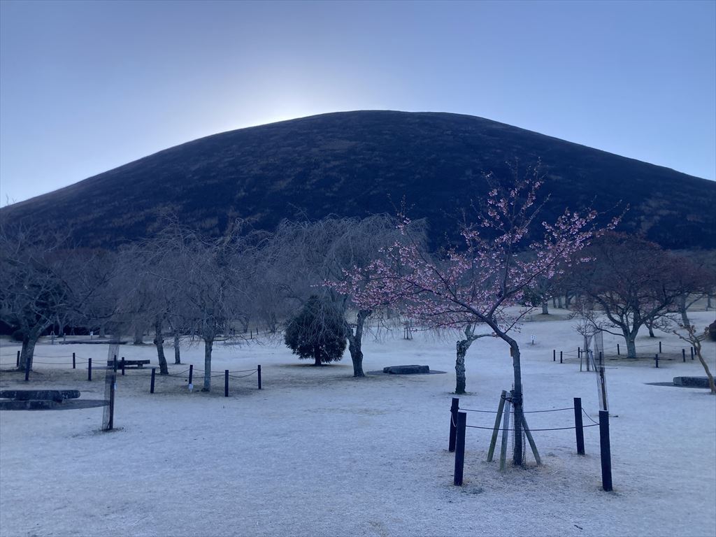 山焼き後の桜の里