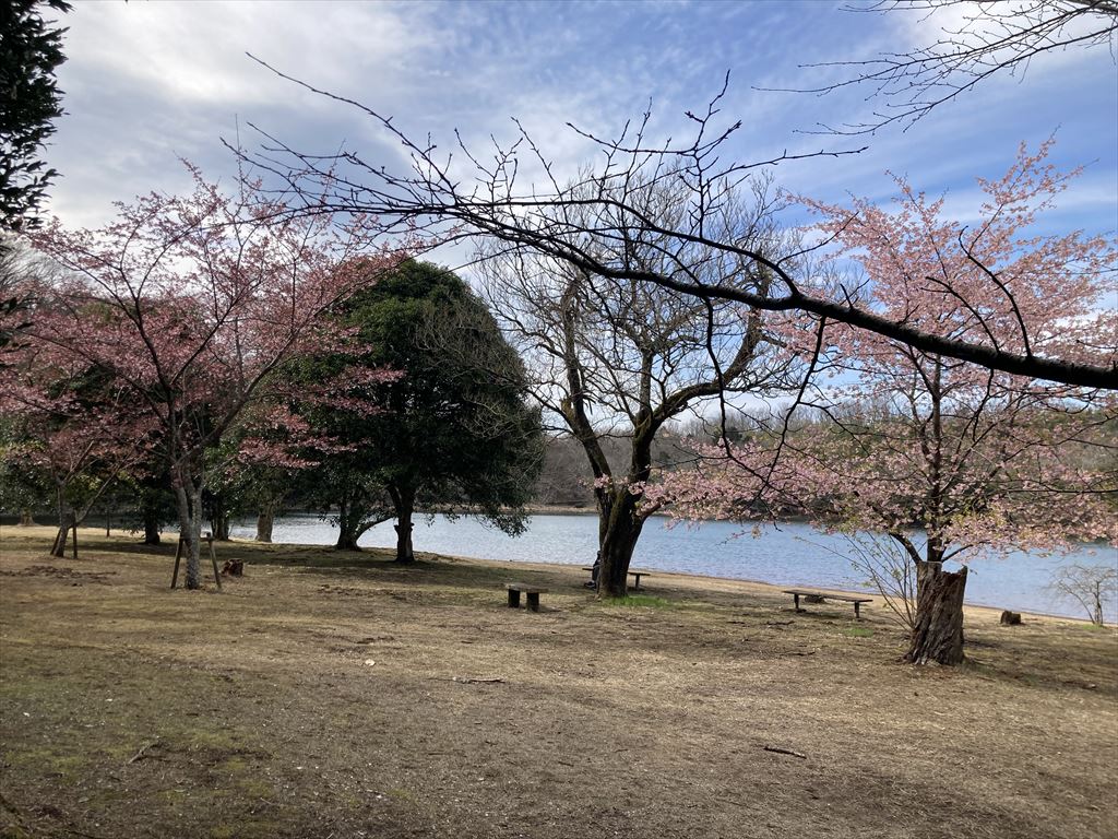 一碧湖ウォーキング