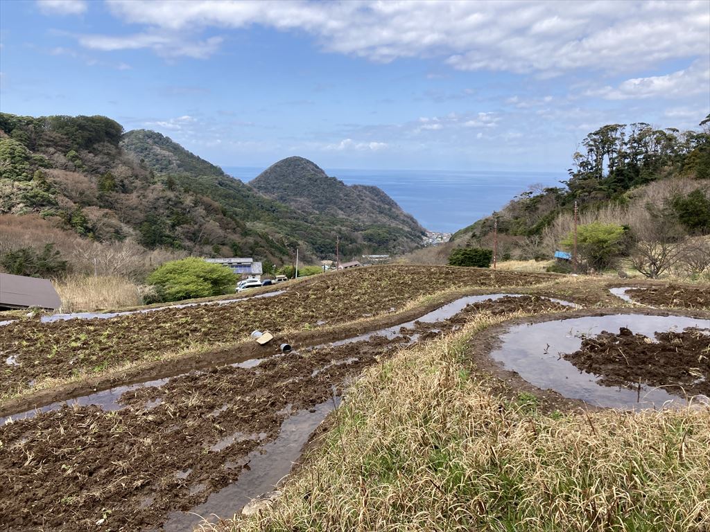 石部の棚田