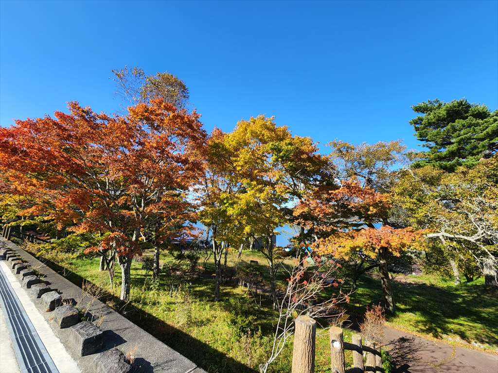 山中湖の秋の紅葉：美しい景色の中でドライブ