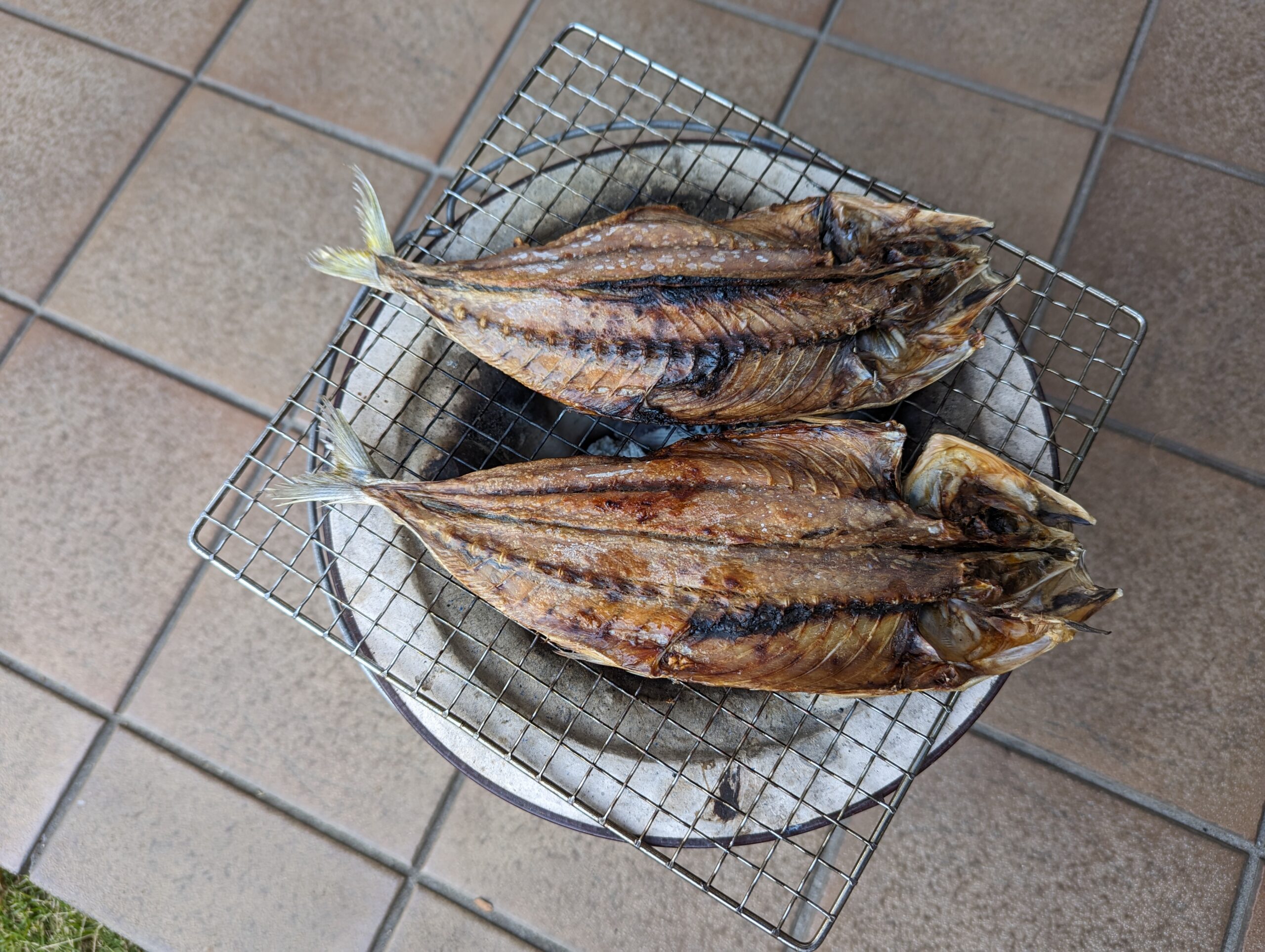 くさやと焼き鳥