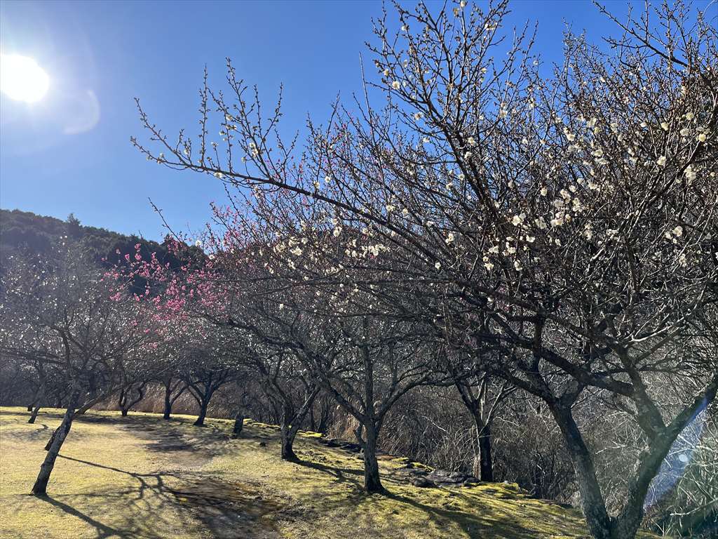 松川湖散歩