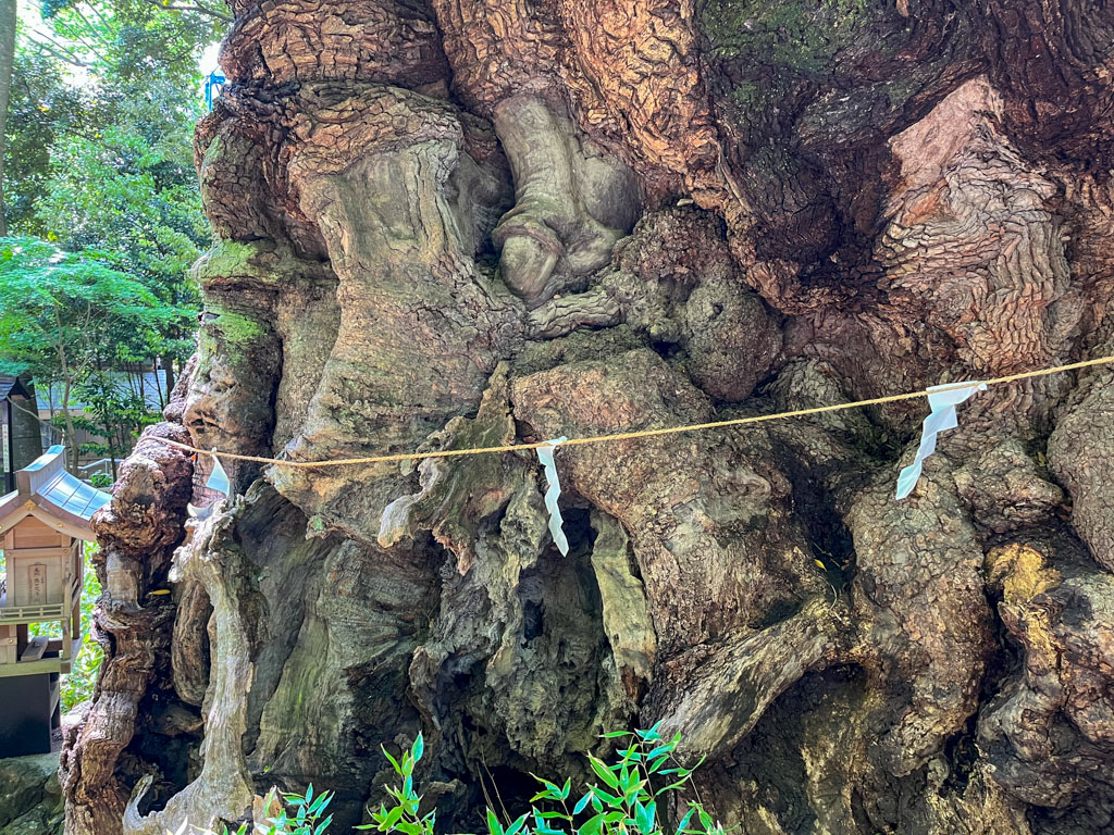 来宮神社