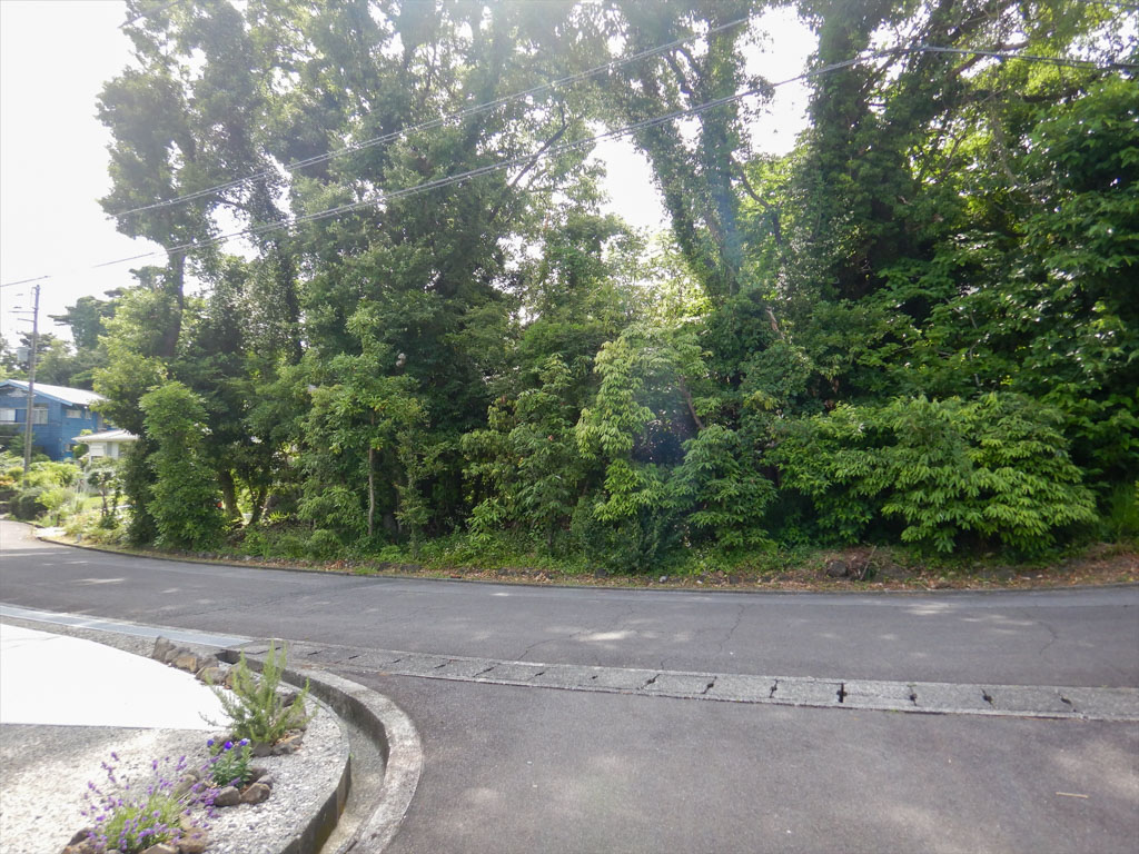 現地土地写真