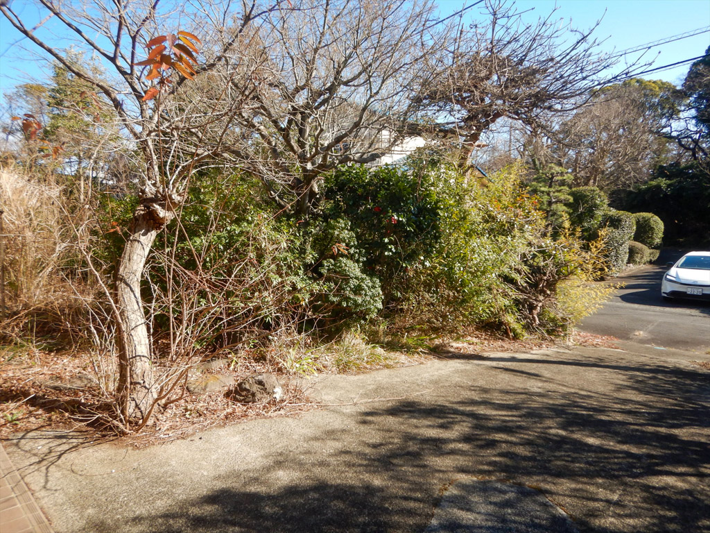 現地土地写真