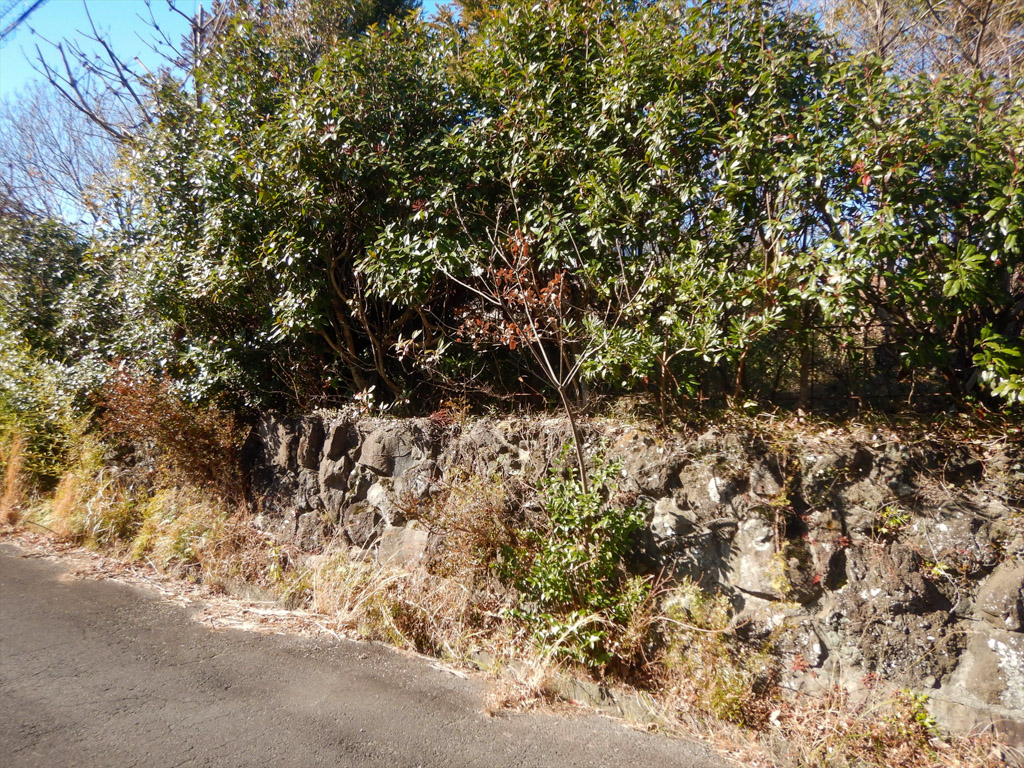現地土地写真