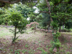 現地土地写真