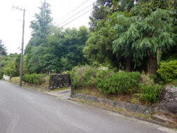 現地土地写真