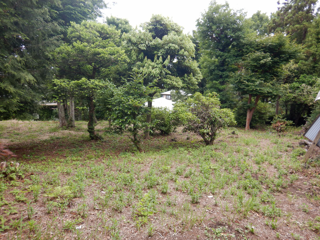 現地土地写真