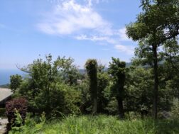 現地土地写真