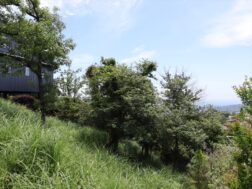現地土地写真